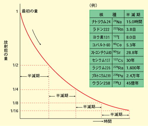 %E5%8D%8A%E6%B8%9B%E6%9C%9F.gif