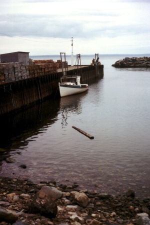 Bay_of_Fundy_High_Tide.jpg