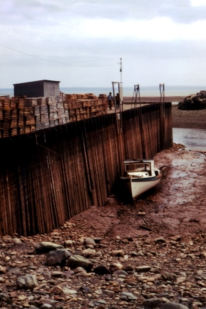 Bay_of_Fundy_Low_Tide.jpg