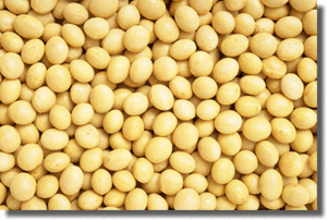 soybean.gif