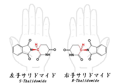 thalidomide3.gif